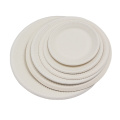 China Factory Food Grade Biodegradable Food Disposable Bagasse Sugarcane Oval Plate